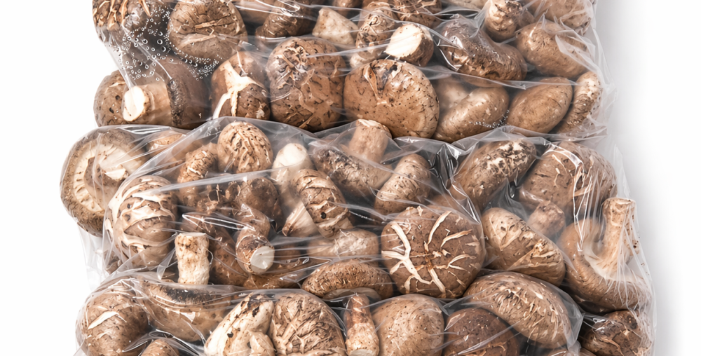 Fresh shiitake