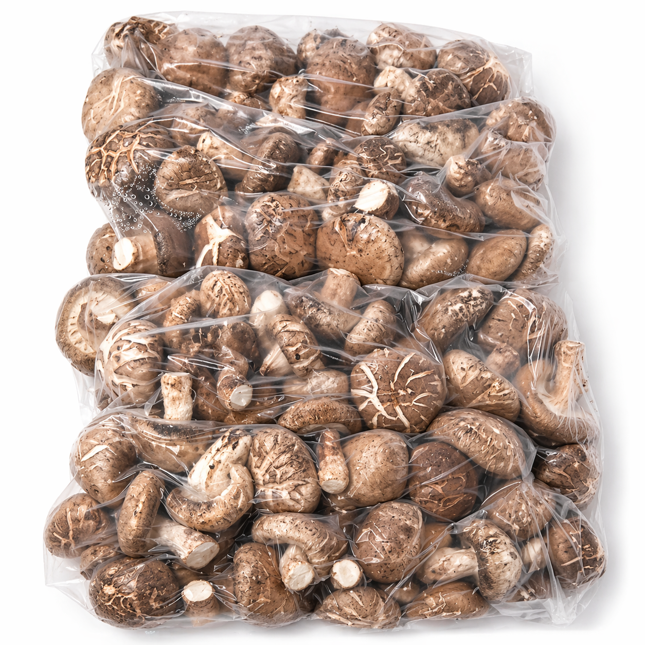 Fresh Shiitake Mushrooms