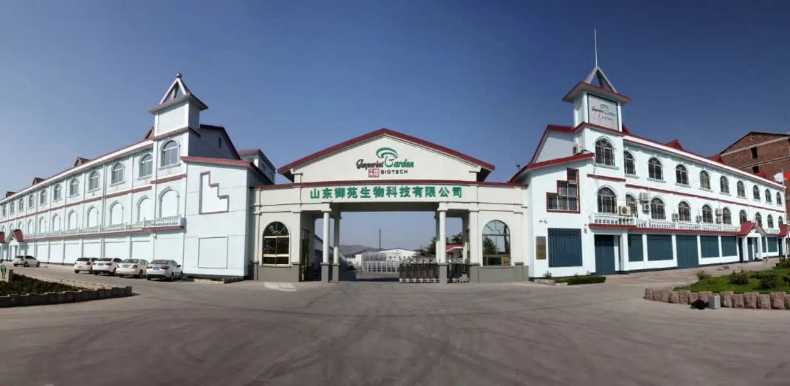 Shandong Imperial Garden mushroom growing block production base exterior